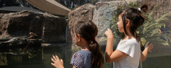 parc animalier