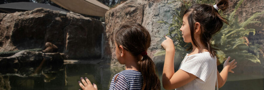 parc animalier